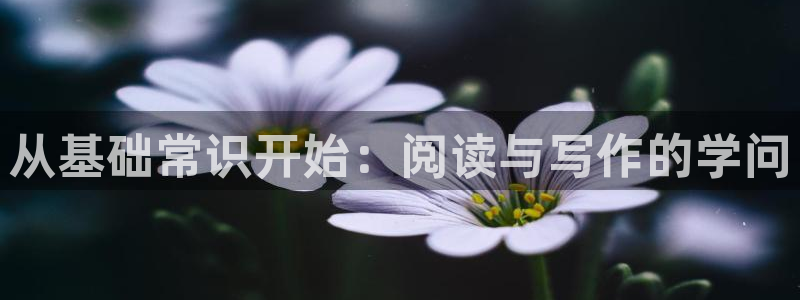 话本小说不用体力值的旧版本